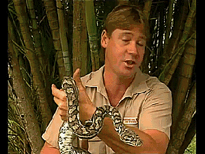 Steve Irwin, Crocodile Hunter
